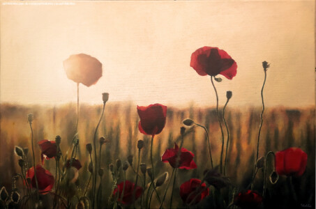 Poppies, Acrylics on canvas, 2022