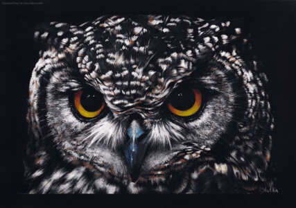 Owl Portrait, Acrylic markers on black paper, 2022