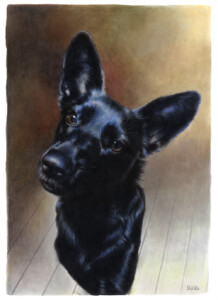 Treat please?, alcohol markers on paper, 2023