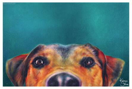 Colour pencil drawing, August 2024 Colour pencil drawing, August 2024